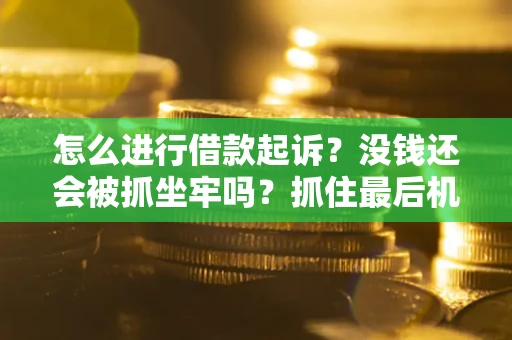 济南怎么进行借款起诉？没钱还会被抓坐牢吗？抓住最后机会！