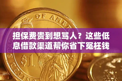 济南担保费贵到想骂人？这些低息借款渠道帮你省下冤枉钱