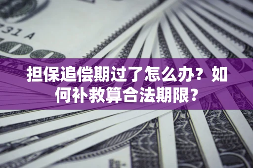 济南担保追偿期过了怎么办？如何补救算合法期限？
