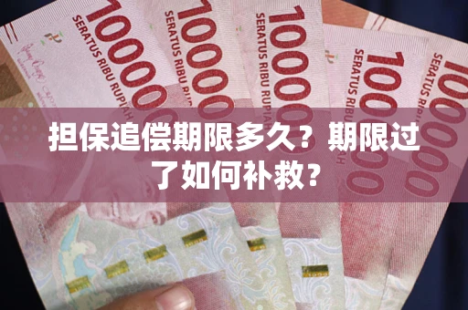 济南担保追偿期限多久？期限过了如何补救？