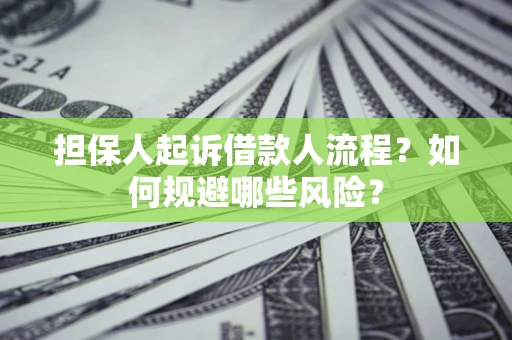 济南担保人起诉借款人流程？如何规避哪些风险？