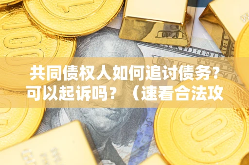 济南共同债权人如何追讨债务？可以起诉吗？（速看合法攻略）